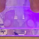 루트짐 | 의왕PT 글루트짐&amp;재활PT 내손점 PT후기