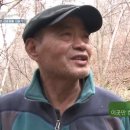 자연인