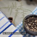 진주 가드닝클래스, 마켓진양호 x 진주엔교육센터 원데이 수업 후기
