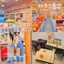 제주공항 근처 선물 기념품 소품샵 썸제주 4월 제주 여행 쇼핑리스트