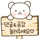 산본꽃돼지