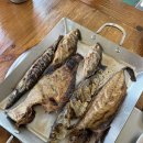 동해생선 - 노원구 덕릉로115길 8 | [동해 맛집] 인생 생선구이를 만나다, 묵호 ‘다이버구이’ 솔직 후기 (밥 두 공기 순삭!)