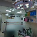 에이스동물병원 이미지