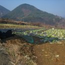 큰길부동산중개사무소 이미지