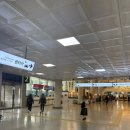 롯데주유소 | 제주도 갈 때 필.수.코.스, 롯데렌터카 이용후기