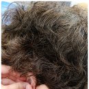 우리의료기·보청기 이미지