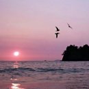 몽산포오토캠핑장 이미지