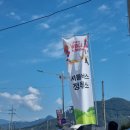 2024 KT VOYAGE to Jarasum 보야지 투 자라섬 후기