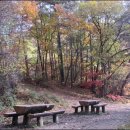 분당정(국궁장) 이미지