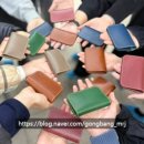 배울초등학교 이미지