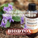 야생화 민박 티스토리