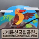 계룡산 동학사지구 단풍 절정시기 생생포토 이미지