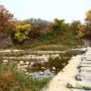 덕우민박 이미지