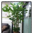 용담한의원 이미지