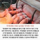 모래틈농장 이미지