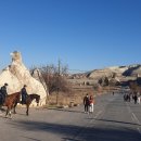 계곡속의동화 이미지