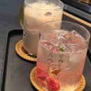 새보람약국 이미지