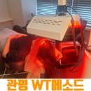 리코두피탈모관리 | 관평동두피 탈모 관리 솔직후기, WT메소드 유성대덕점 스페셜 PlaX 대만족