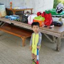 구남천 이미지