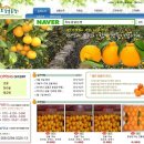 흑토랑농장 이미지