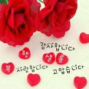 행복한아침 이미지