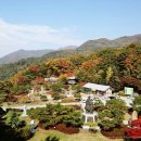 박달재 이미지