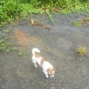 명산경로당 이미지