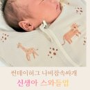자연에취하여 | 썬데이허그 나비잠속싸개 신생아 모로반사 스와들업 출산준비물 후기