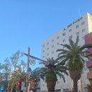 야자수 나라에서 만난 우리 이미지