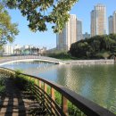 광교호수공원 이미지