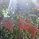 만덕1동 주민센터 이미지