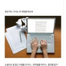 돈짱맛짱2 이미지