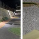 가야초등학교 이미지