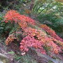 생활 도자기공예 이미지