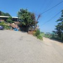 상백매운탕 이미지