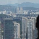 목동최고부동산공인중개사사무소 이미지