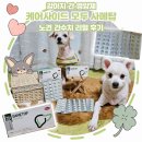 [강아지 간 영양제]케어사이드 모두 사메탑 황달 후기