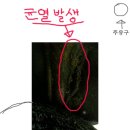 주입구 이미지