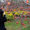 대은농장 이미지