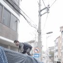 개인화물376 | 계단이사라 걱정했는데 원룸이사 견적 비교부터 이사비용까지 만족스러웠던 이사 플랫폼 이사대학 후기