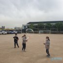 서울삼육초등학교 이미지