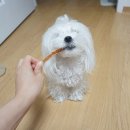 맛나닭 이미지