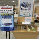 한국화 (별관) / 강좌번호 : 19 | 하와이#1 코시국 뒤늦은 신혼여행준비②(확진자 출국시 필요서류 준비, 국제운전면허증 발급)