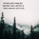 한국특산물