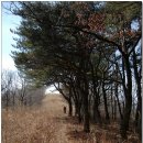 자굴산약국 이미지