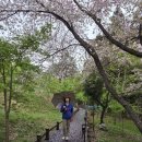 제암산 숲속교육관화장실 | 보성 제암산 휴양림 수변산책로 - 빗소리 들으며