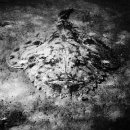 마산아구찜 이미지