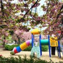 완산-157 이미지