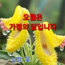 덕소한의원 네이버블로그