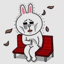 제이뷰짐 이미지